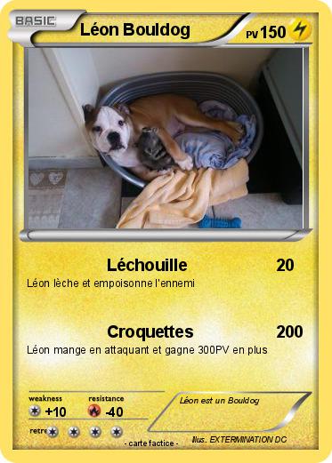 Pokemon Léon Bouldog
