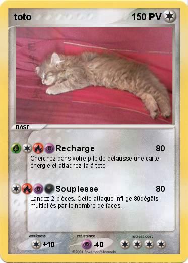 Pokemon toto