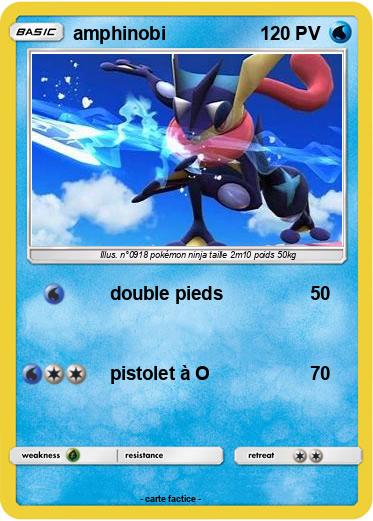 Pokemon amphinobi