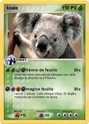 Pokemon koala