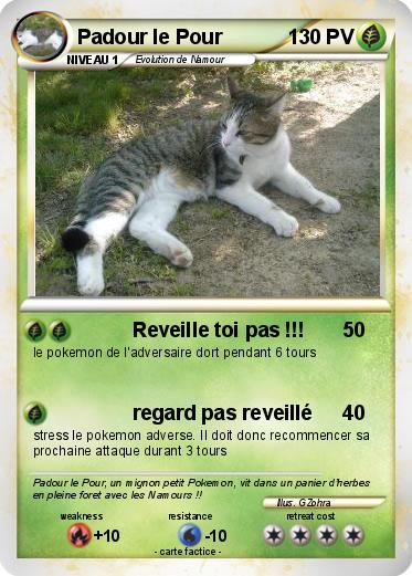 Pokemon Padour le Pour
