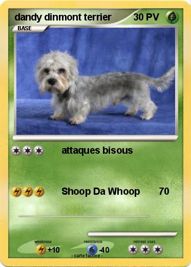 Pokemon dandy dinmont terrier