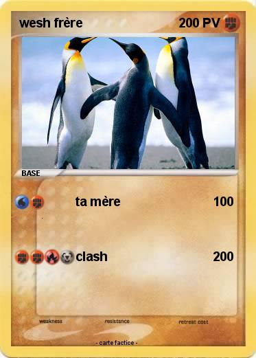 Pokemon wesh frère