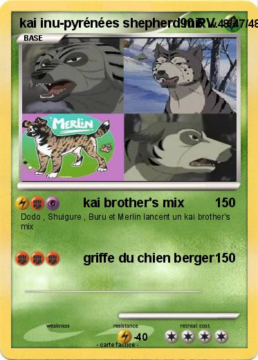Pokemon kai inu-pyrénées shepherd mix