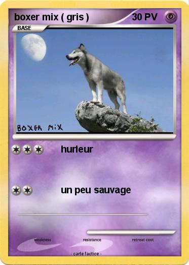 Pokemon boxer mix ( gris )