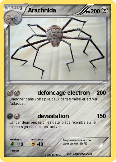 Pokemon Arachnida
