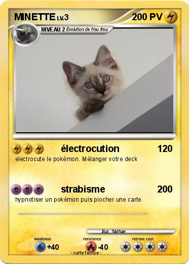 Pokemon MINETTE