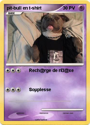 Pokemon pit-bull en t-shirt