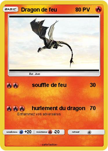 Pokemon Dragon de feu