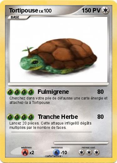 Pokemon Tortipouse