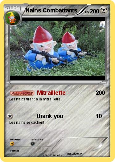 Pokemon Nains Combattants