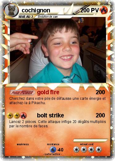 Pokemon cochignon