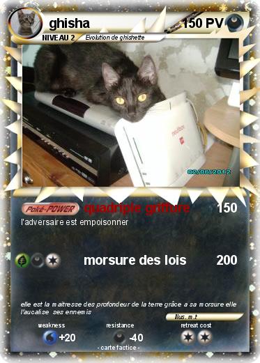 Pokemon ghisha