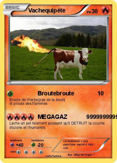 Pokemon Vachequipète