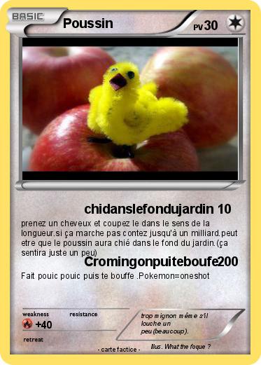 Pokemon Poussin