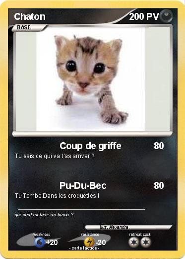 Pokemon Chaton
