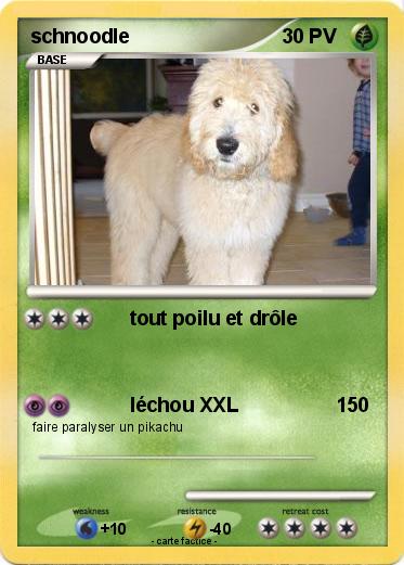 Pokemon schnoodle