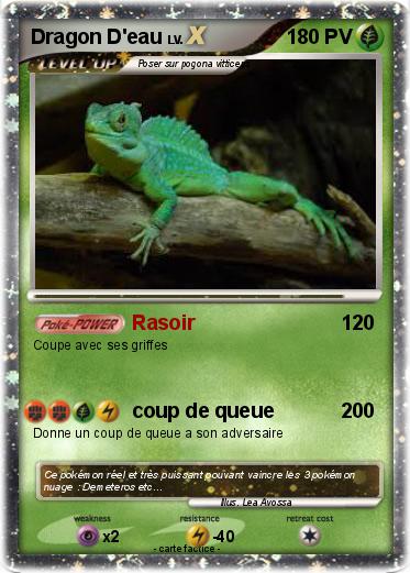 Pokemon Dragon D'eau