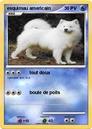 Pokemon esquimau americain