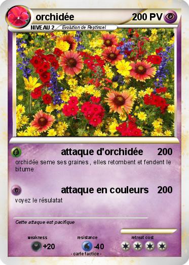 Pokemon orchidée