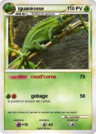 Pokemon iguanéosse