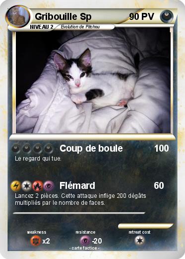 Pokemon Gribouille Sp