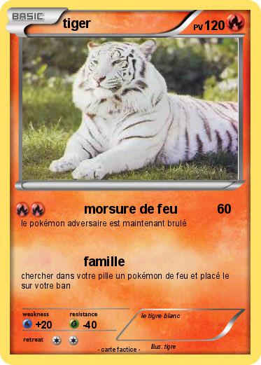 Pokemon tiger