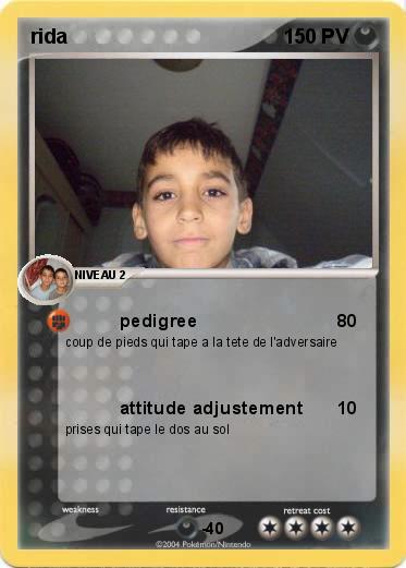 Pokemon rida