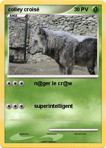 Pokemon colley croisé