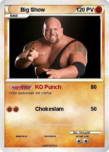 Pokemon Big Show