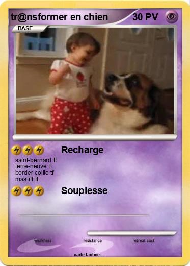 Pokemon tr@nsformer en chien