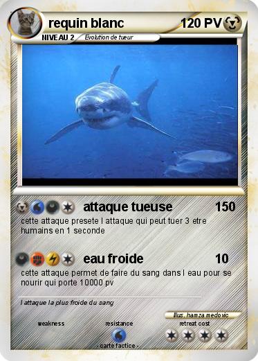 Pokemon requin blanc