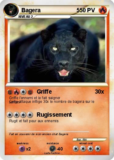 Pokemon Bagera                       5