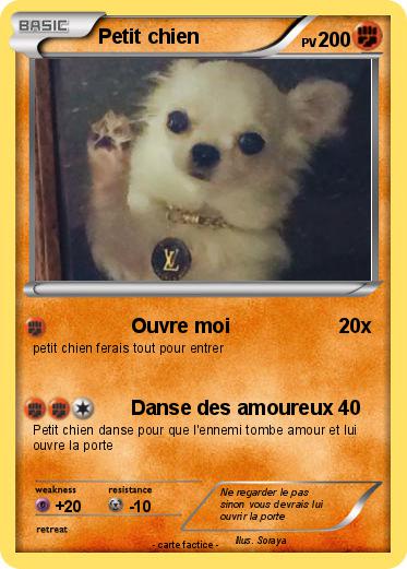 Pokemon Petit chien