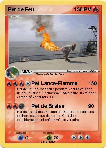 Pokemon Pet de Feu