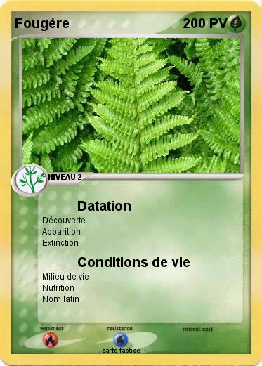 Pokemon Fougère