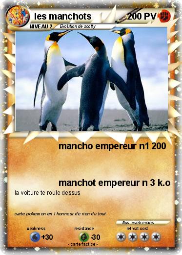Pokemon les manchots