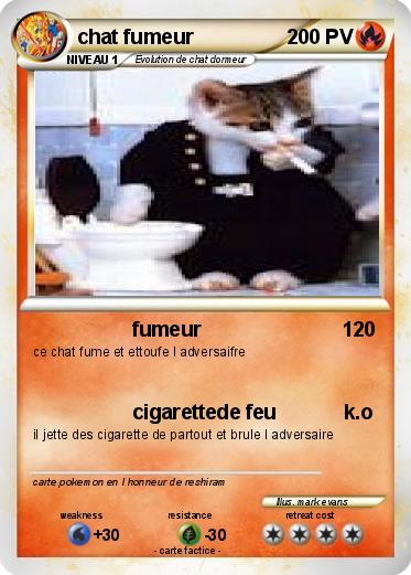 Pokemon chat fumeur