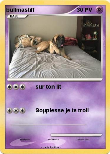 Pokemon bullmastiff