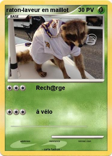 Pokemon raton-laveur en maillot