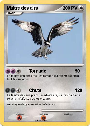 Pokemon Maitre des airs