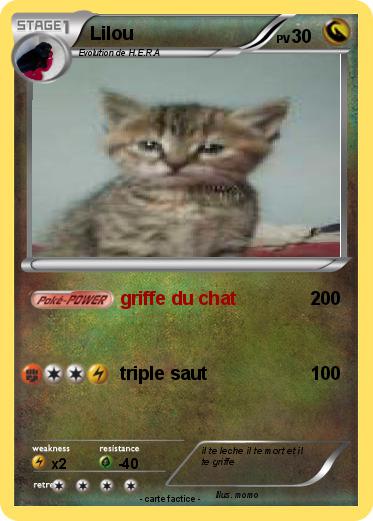 Pokemon Lilou