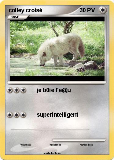 Pokemon colley croisé