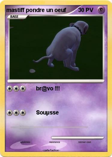Pokemon mastiff pondre un oeuf