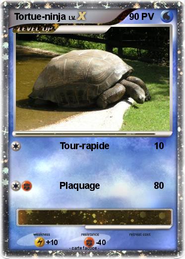 Pokemon Tortue-ninja