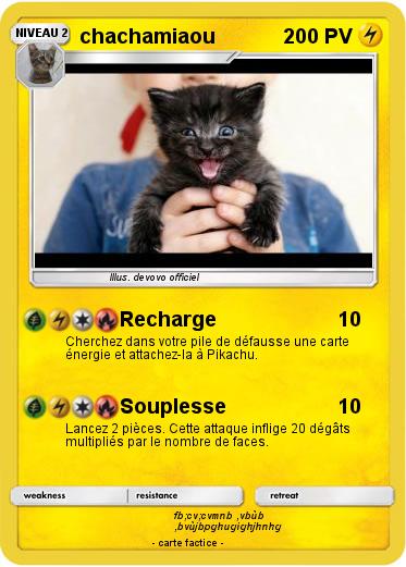 Pokemon chachamiaou