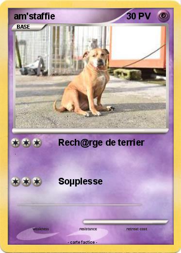 Pokemon am'staffie