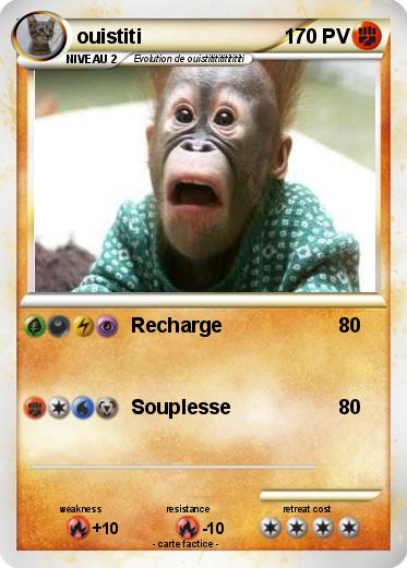 Pokemon ouistiti