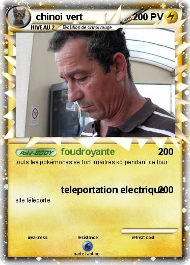 Pokemon chinoi vert