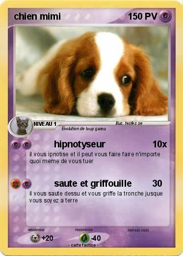 Pokemon chien mimi
